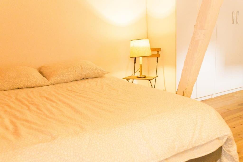Charmant Triplex En Hyper Centre Strasbourg Ngoại thất bức ảnh